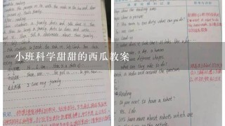 小班科学甜甜的西瓜教案