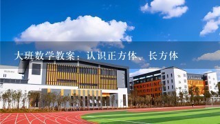 大班数学教案：认识正方体、长方体