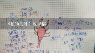 《植物的叶》说课稿