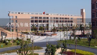 小学5年级安全教案 济南出版社的，急需！