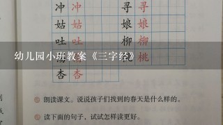 幼儿园小班教案《3字经》