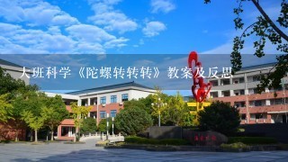 大班科学《陀螺转转转》教案及反思