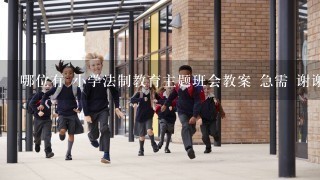 哪位有 小学法制教育主题班会教案 急需 谢谢！