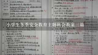 小学生冬季安全教育主题班会教案3篇