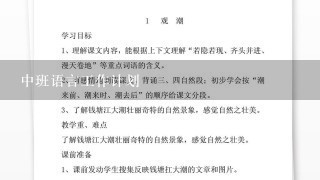 中班语言工作计划