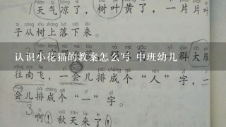 认识小花猫的教案怎么写 中班幼儿