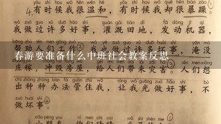 春游要准备什么中班社会教案反思