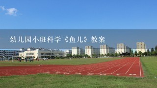 幼儿园小班科学《鱼儿》教案