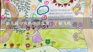 幼儿园中班科学课教案：了解飞机