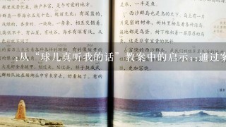 :从“球儿真听我的话”教案中的启示;:通过案例分析提高教育者手法和学生表现