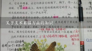 关于美术素描方面的知识