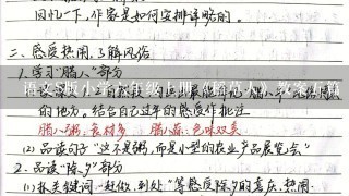 语文S版小学6年级上册《稻草人》教案5篇