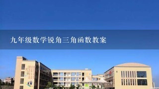 9年级数学锐角3角函数教案