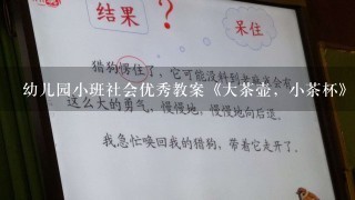 幼儿园小班社会优秀教案《大茶壶，小茶杯》含反思