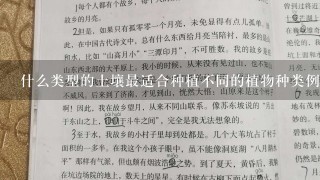 什么类型的土壤最适合种植不同的植物种类例如沙漠沼泽等？为什么？