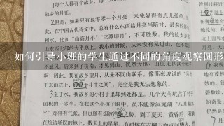 如何引导小班的学生通过不同的角度观察圆形物体并用不同的笔触描绘出不同效果的作品