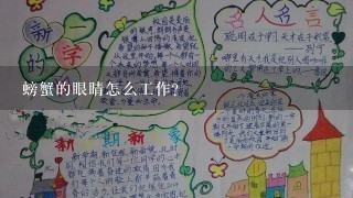 螃蟹的眼睛怎么工作