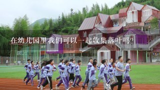 在幼儿园里我们可以一起收集落叶吗