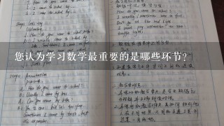 您认为学习数学最重要的是哪些环节