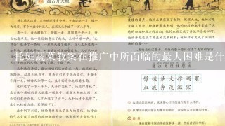 托班蔬菜教案在推广中所面临的最大困难是什么