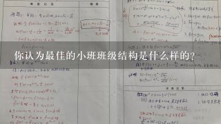 你认为最佳的小班班级结构是什么样的