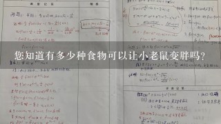 您知道有多少种食物可以让小老鼠变胖吗