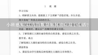 小班感知3以内的数量如何被应用于生活?