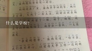 什么是学校?