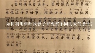 如何利用树叶找影子来观察不同的天气条件?