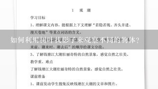 如何利用树叶找影子来观察不同的物体?