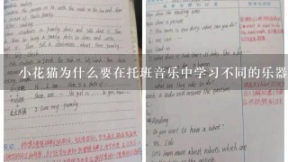 小花猫为什么要在托班音乐中学习不同的乐器?