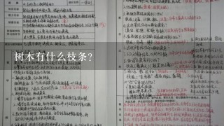 树木有什么枝条?