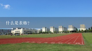 什么是表格?