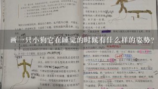 画一只小狗它在睡觉的时候有什么样的姿势?