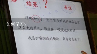 如何学习?