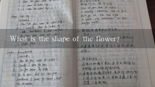 What is the shape of the flower?