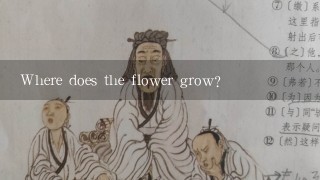 Where does the flower grow?